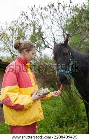 a happy woman takes care of a domestic horse while on a pasture