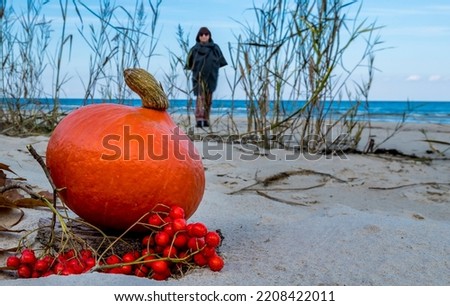 Autumnal motif with close up ripe pumpkin, bunch of rowan berry and blurred silhouette of woman on sandy beach of the Baltic Sea 