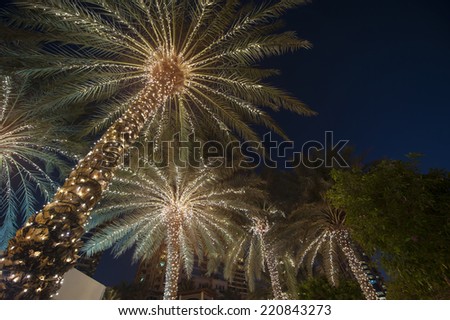 christmas background palm tree 