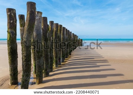 wooden poles with moss and shells on the beach of wissant on the opal coast in northern france near cap gris nez and cap blanc nez