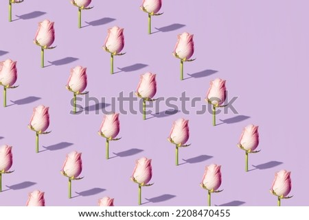 Rose flowers arranged with silhouettes, creative floral pattern on pastel violet background.