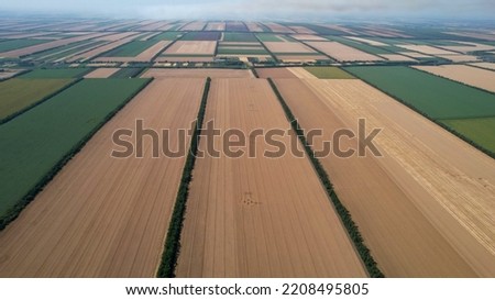 Agriculture, field, wheat. Fields of wheat and corn in the fertile lands of endless Russia