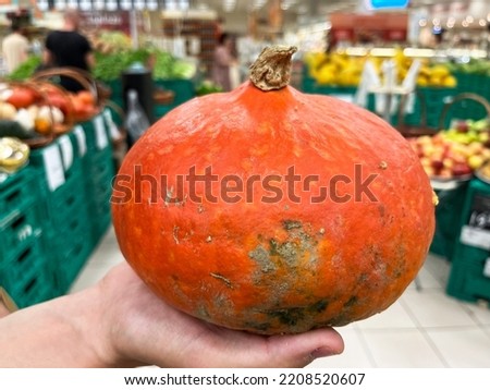 Hands of  young man holding pumpkin in supermarket near shelf with organic vegetables and fruits, pumpkin , thanksgiving and halloween