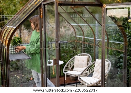Young woman putting plant on shelf in tiny orangery at backyard. Vintage greenhouse made of rusty metal and glass Royalty-Free Stock Photo #2208522917