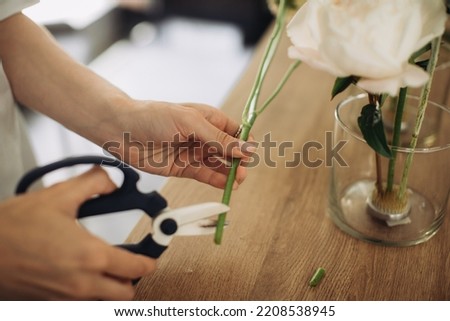 Florist cutting flower stems - stock photo
