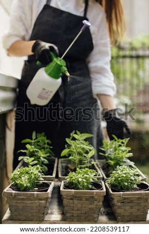 Woman florist watering plants in a flower shop - stock photo.