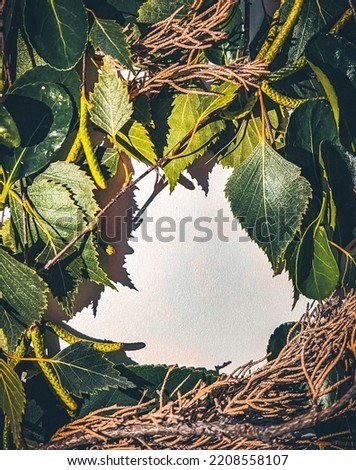 Nature in its brightest. Forming a beautiful green front on a clear white background. Frame made of different types of green and yellow  leaves and brown sticks .