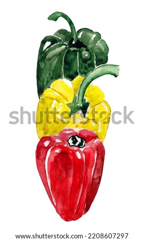 Hand drawn watercolor illustration bell peppers on white background. Colorful background for fabric, wallpaper, gift wrapping paper, scrapbooking. Design for children.