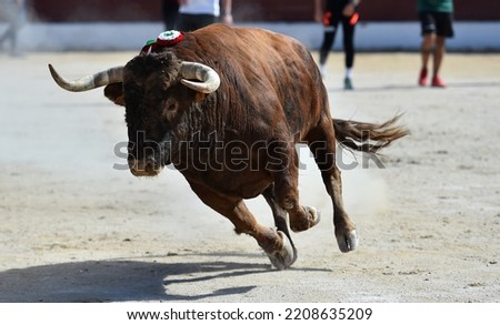 A dangerous bull in the spanish spectacle of bullfight Royalty-Free Stock Photo #2208635209