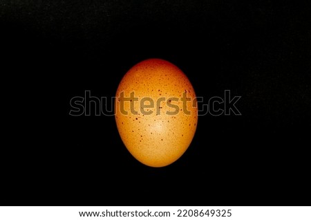 A brown egg on a black background.