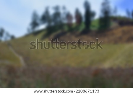 blur view of meadow in summer, with a view of dry grass. Blurred background
