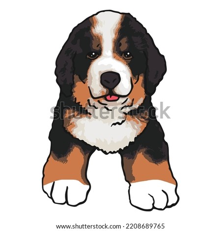 Bernese Mountain Dog Pet Colored Drawing