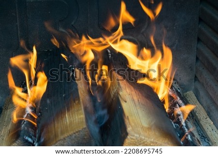 a close up view of firewood and pinecone on fire flames on the barbeque