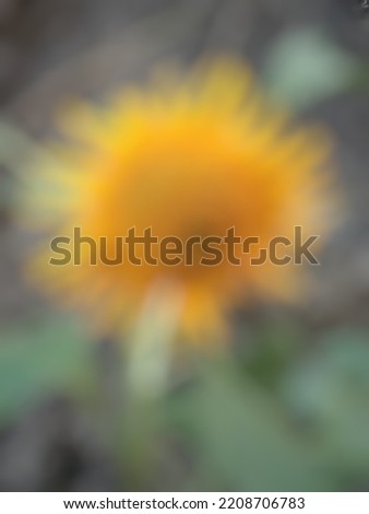 Defocused abstract background of beautiful sunflower. Landscape nature concept.