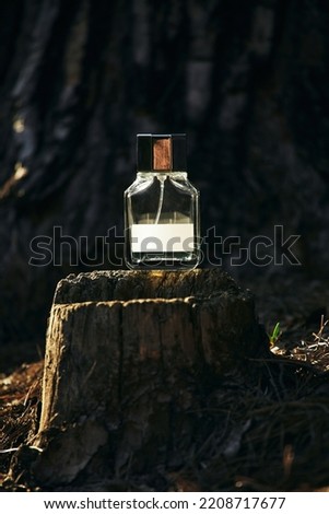 Glass bottle of perfume on a tree in the forest in the sunset light. Advertising photo. Mockup