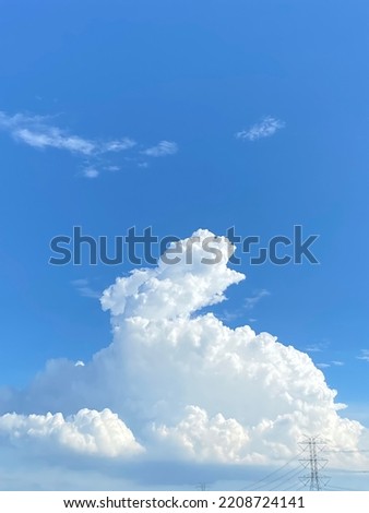 Rabbit clouds in the sky