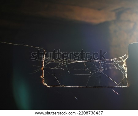 spider web in side a house illuminated by sunlight
