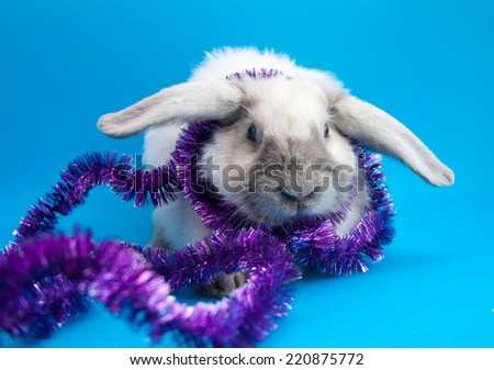 Big lop-eared rabbit in Christmas garland