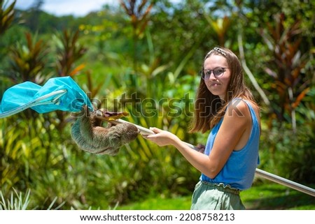 happy girl and her friend the sloth; interaction with the sloth, a visit by a sloth in the garden, wild animals of costa rica