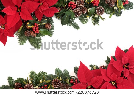 Christmas poinsettia flower background border with holly, ivy, mistletoe, pine cones and fir leaf sprigs over white. Royalty-Free Stock Photo #220876723