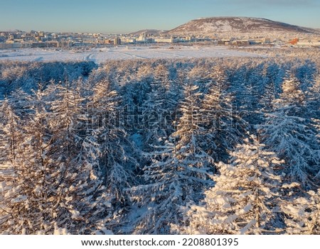 Winter aerial view of a snowy forest. In the distance the city of Magadan. The nature of Siberia and the Russian Far East. Snow on the branches of larch trees. Cold weather. Magadan region, Russia.