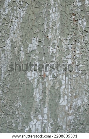 Light grey green wooden texture with crackled peeling paint. Aged wood surface, high resolution image element with copy-space.