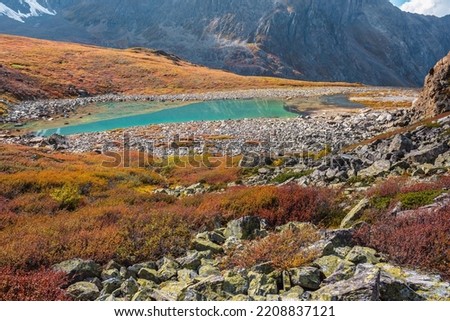 Colorful autumn landscape with sunlit multicolor flora and turquoise mountain lake. Motley vegetation and stones with view to beautiful alpine lake in sunlight. Vivid autumn colors in high mountains.