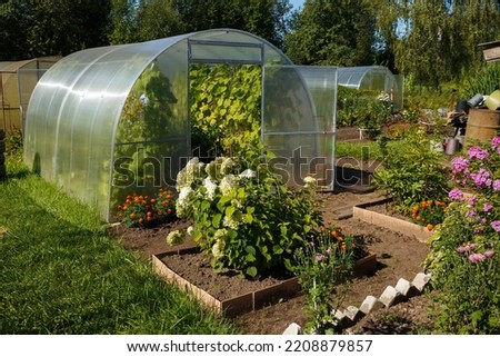 polycarbonate greenhouse in the garden. Greenhouse with an open door in the vegetable garden on a sunny day. Royalty-Free Stock Photo #2208879857