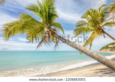 Idyllic Espelho Beach in Trancoso at sunny day, Bahia, Northeastern Brazil, South America