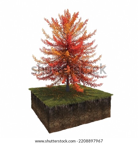 Autumn tree and soil cut under it. Isolated garden element, 3D illustration, cg render