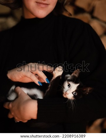 Young dark-haired female model posing with a kitten holding in her hands