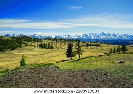 Panoramic picture of mountains range with snow and fresh green valley in front. Beauty wild nature in Altai