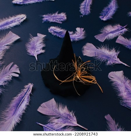 Halloween theme, a witch hat with feathers
