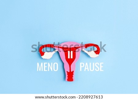 Paper application of the uterus from colored cardboard and word Menopause on blue background. Women's health, gynecology and reproductive system concept. Top view, copy space Royalty-Free Stock Photo #2208927613