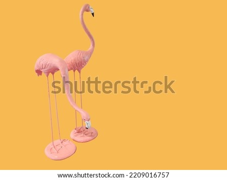 pink flamingo isolated on summer orange background