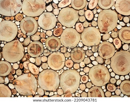 Beautiful wooden texture from saw cuts of trees of different diameters