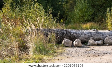 A large log closes the entrance to the forest. Background picture.