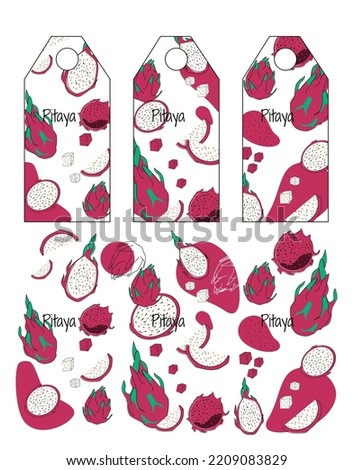 Group of label and print for dragon fruit flavor. Doodle style illustration with doodle pitaya mark. Vector illustration isolated on white background.