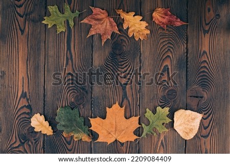 Autumn composition with colored dry leaves lined at the top and bottom of the photo on a rustic wooden background. Flat lay, copy space.