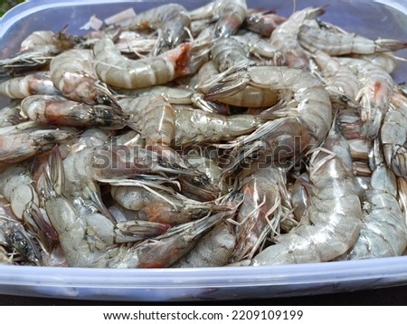 Fresh shrimp in plastic containers for sale in the market