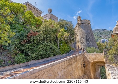 Picture of the palace wall with entrance portal in Monaco during the day in summer