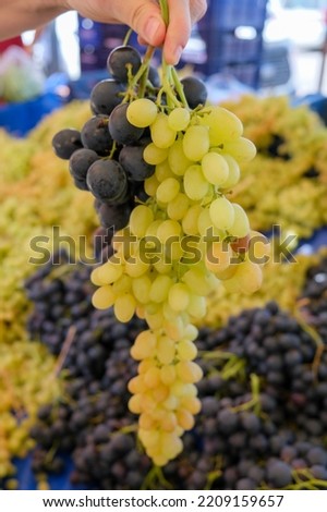 Woman's hand selling bunches of black and yellow grapes in the village market. 