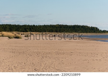 One person in the distance walking away from the camera on a sandy beach next to the sea