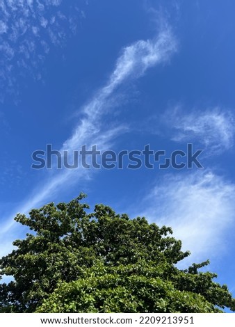 Blue sky and sunny day