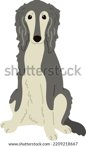 Simple and adorable Saluki dog illustration sitting in front view flat colored