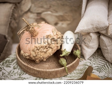 Still life with pumpkin and eggplant. Decorative gourd on a rustic wooden background. Halloween concepts and composition. 