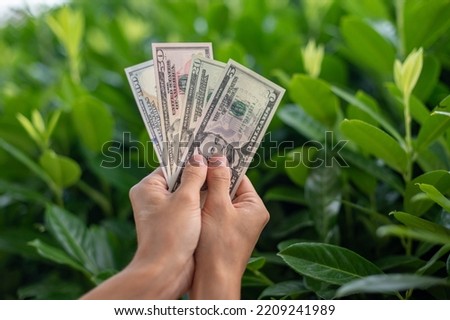 First person top view photo of hands holding fan of dollars banknotes on plant background