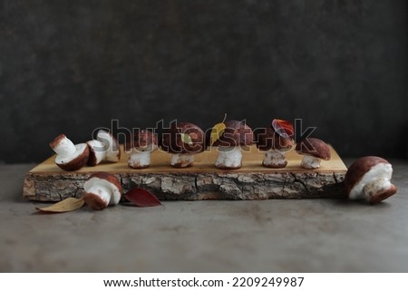 Naturalistic marshmallow mushrooms on a wooden board. Sweets made from egg whites. Homemade marshmallow.