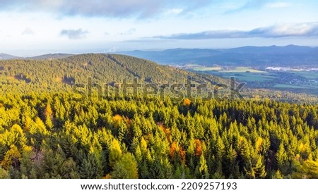 Aerial view of autumnal mountain forest