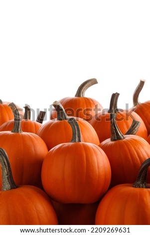 Heap of many orange pumpkins isolated on white background, Halloween day celebration concept, autumn harvest